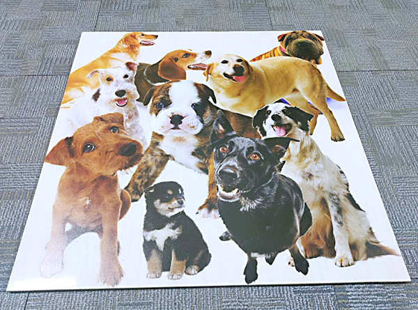 盛煌科UV平板打印機(jī)